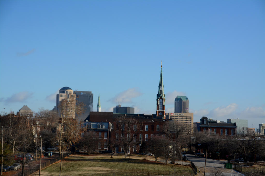 DSC_8140.jpg