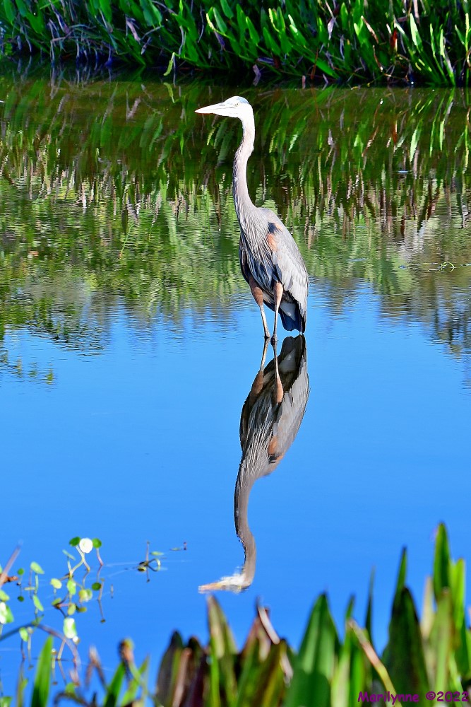 DSC_8145_001.JPG