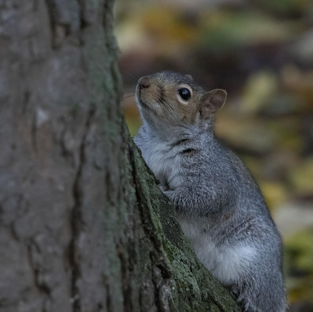 DSC_8146.jpg