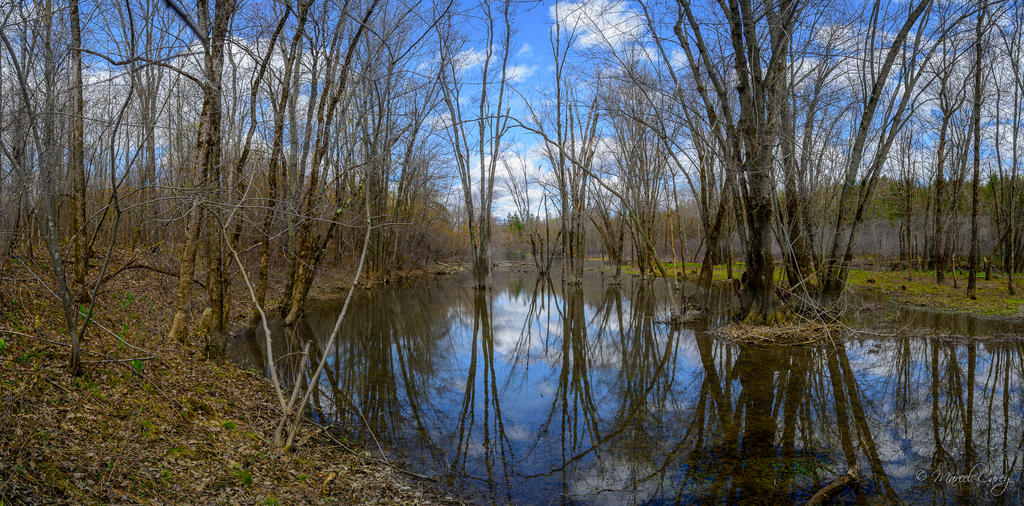 DSC_8149-Panorama.jpg