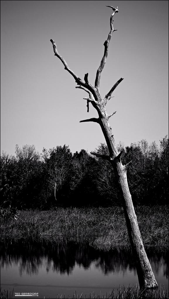 DSC_8152.jpg