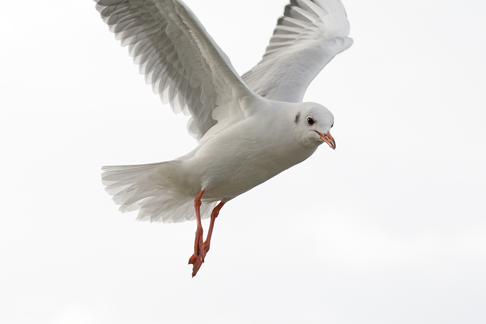 DSC_8155.jpg