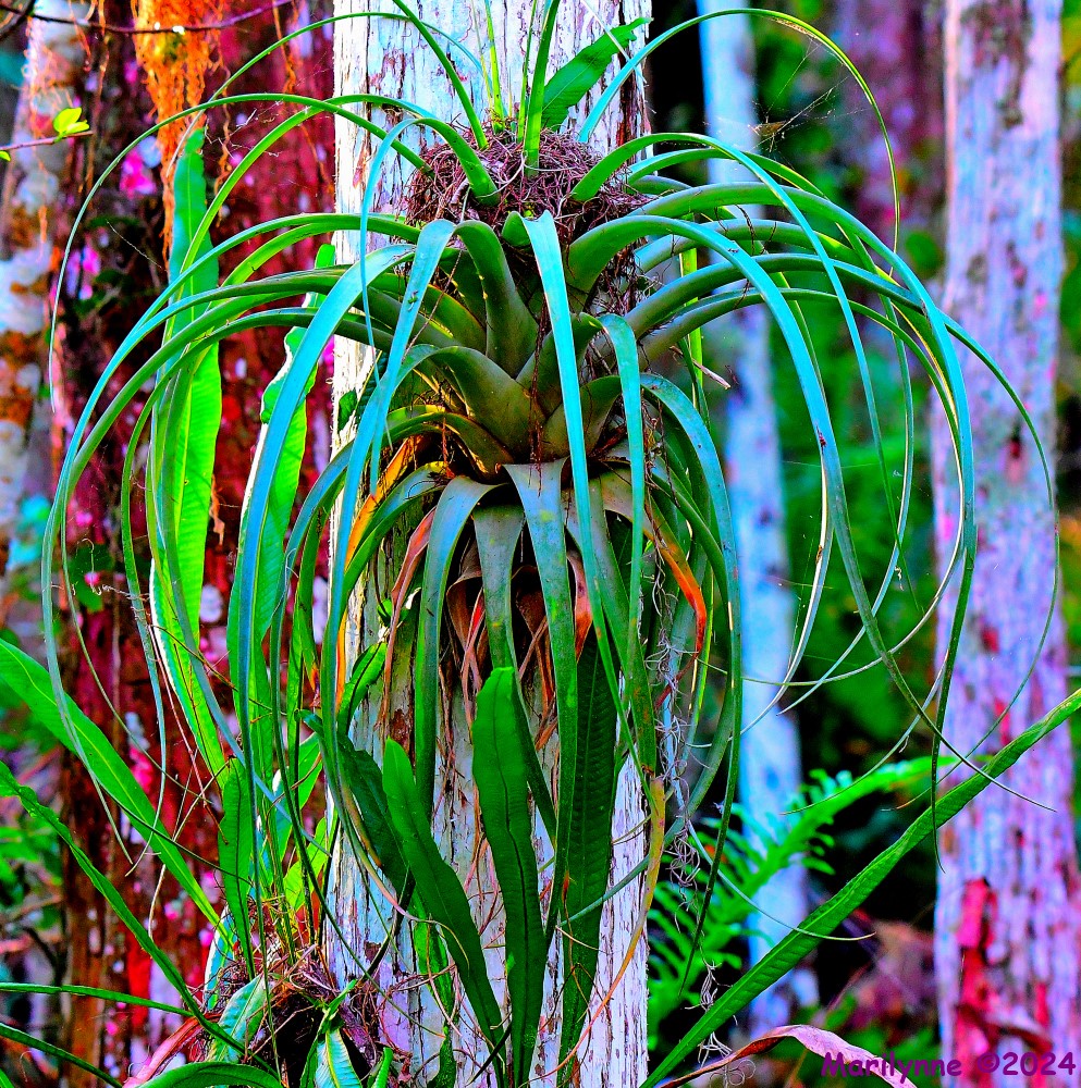 DSC_8156_stitch3_001.JPG