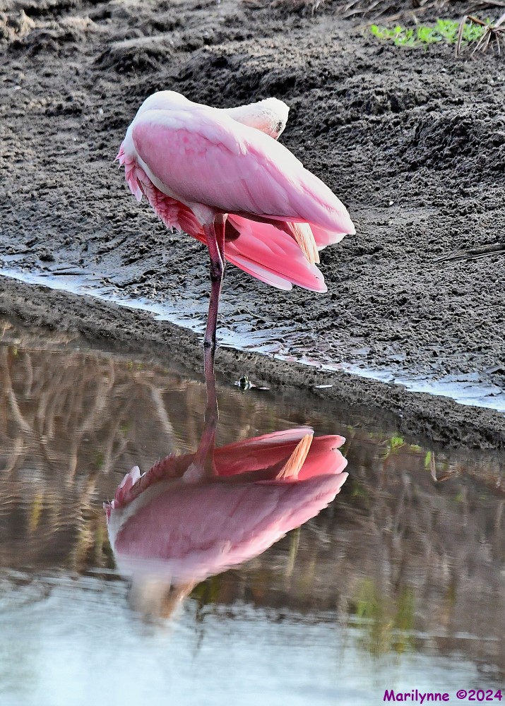 DSC_8157_stitch_001.JPG