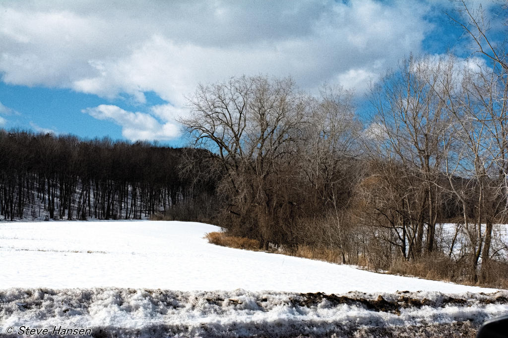 DSC_8158.jpg
