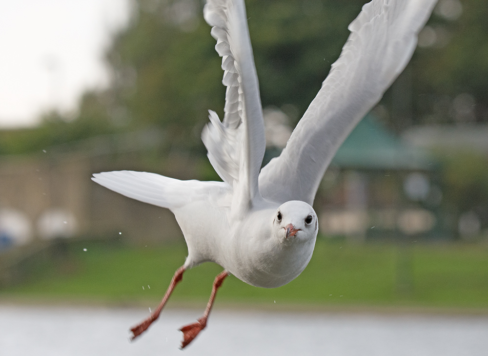 DSC_8159.jpg