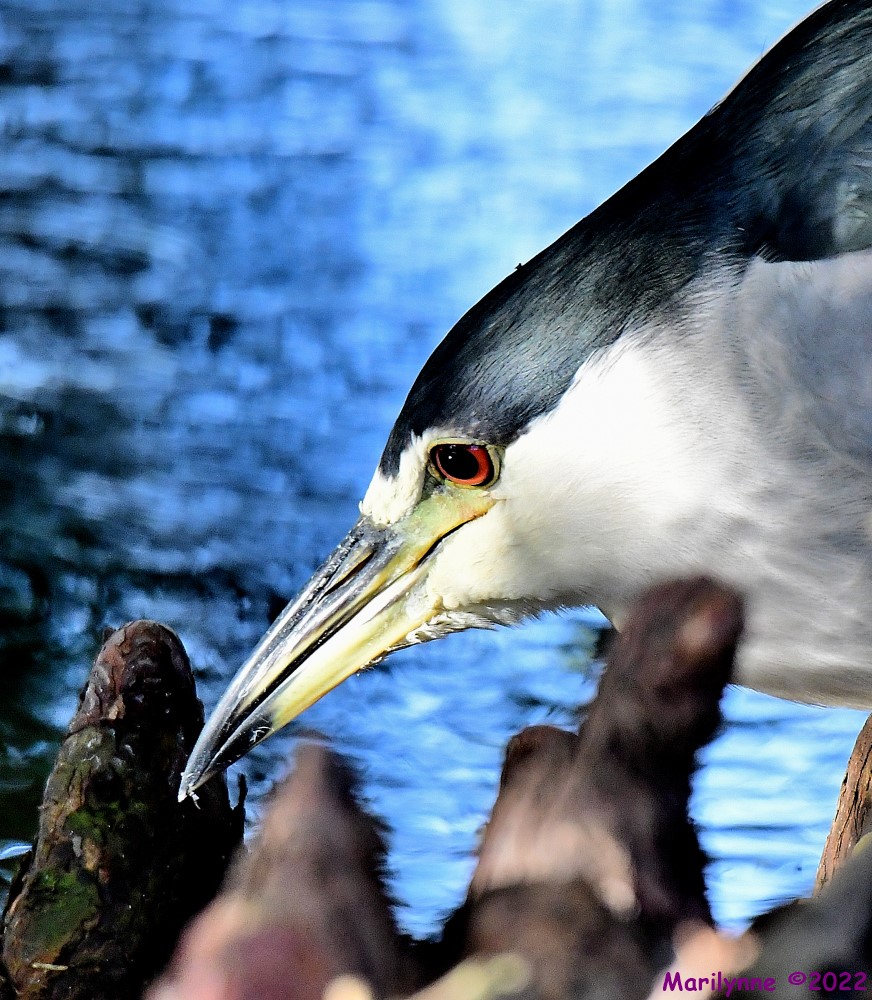 DSC_8160_001.JPG