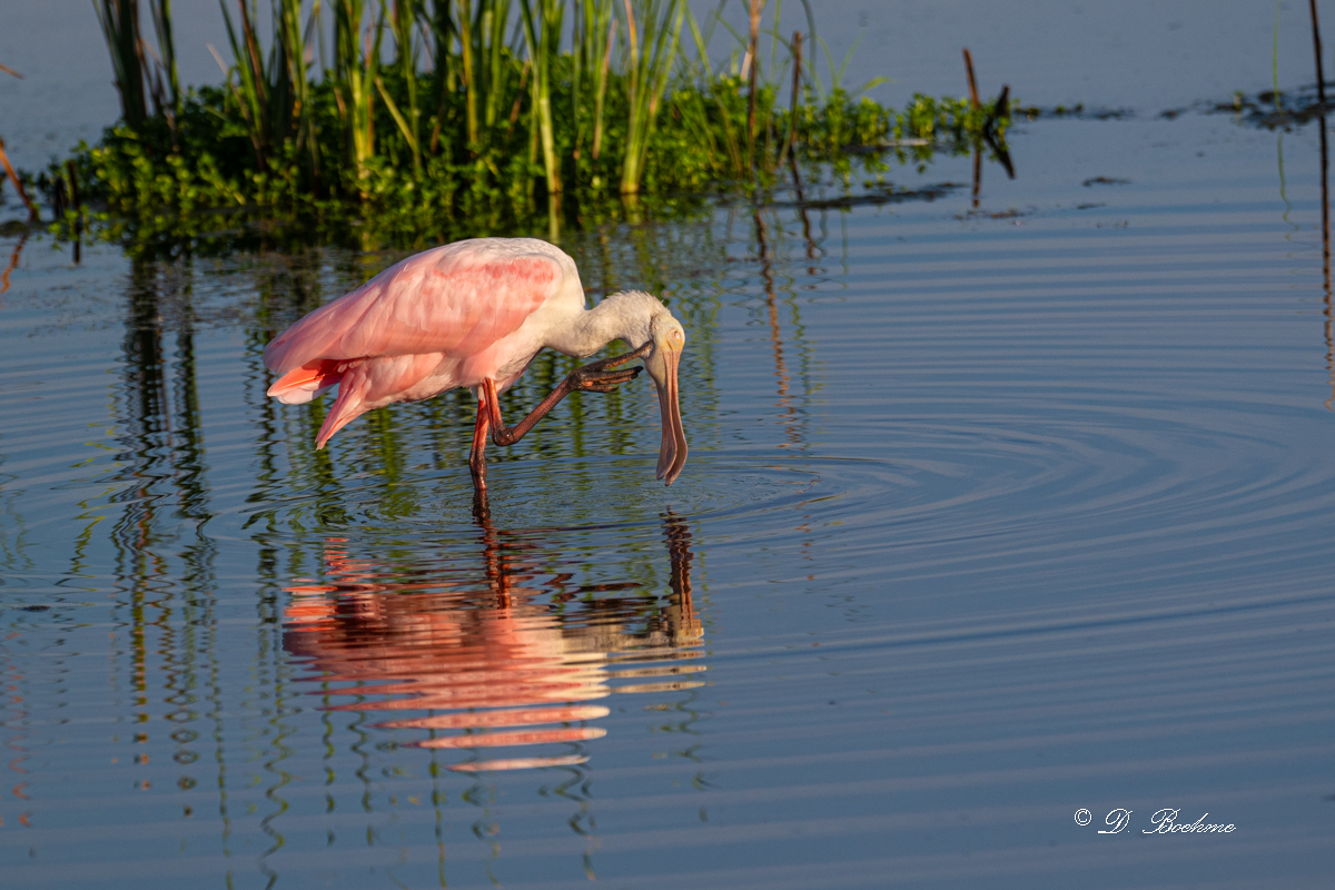 DSC_8161.jpg