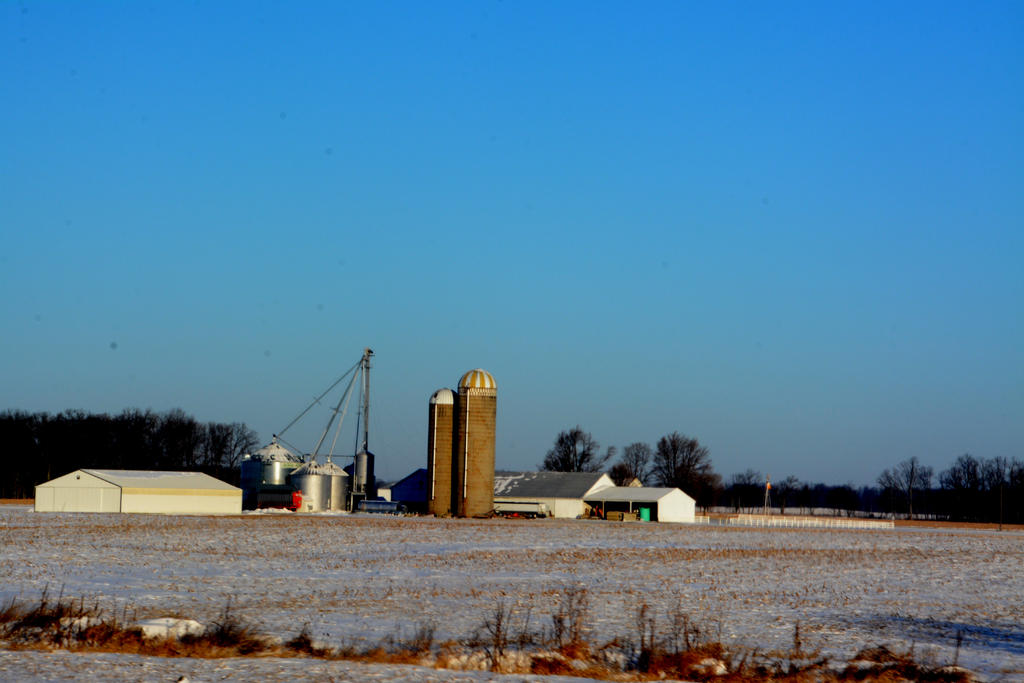 DSC_8162.jpg