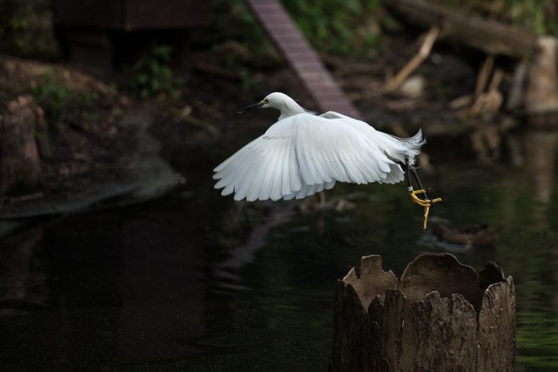 DSC_8162.jpg