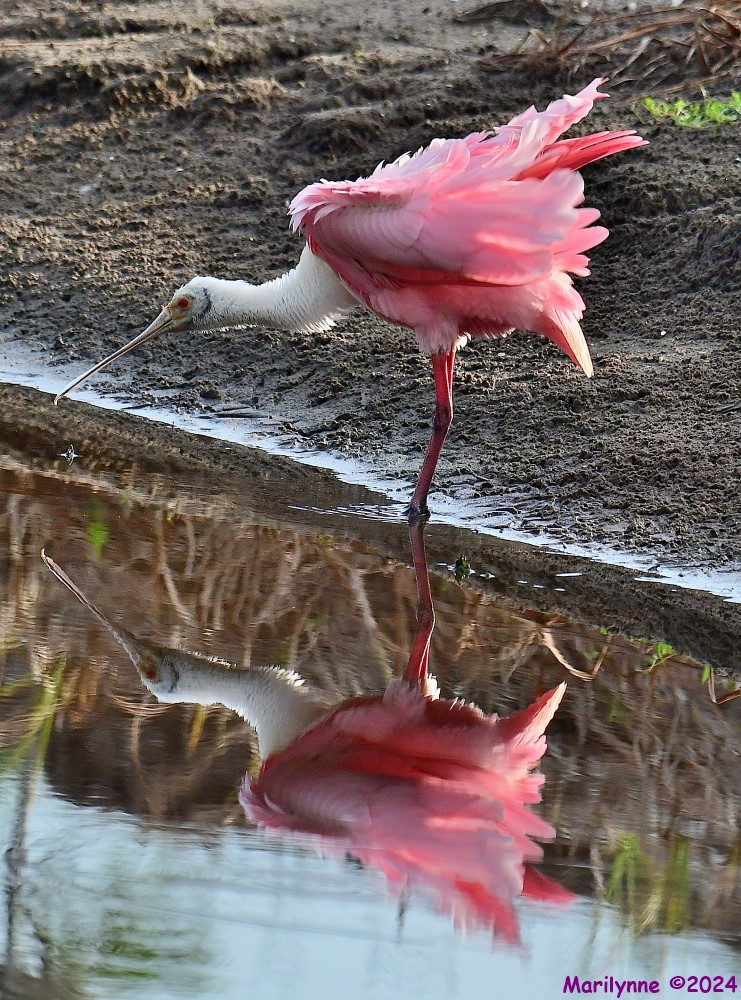 DSC_8162_001.JPG
