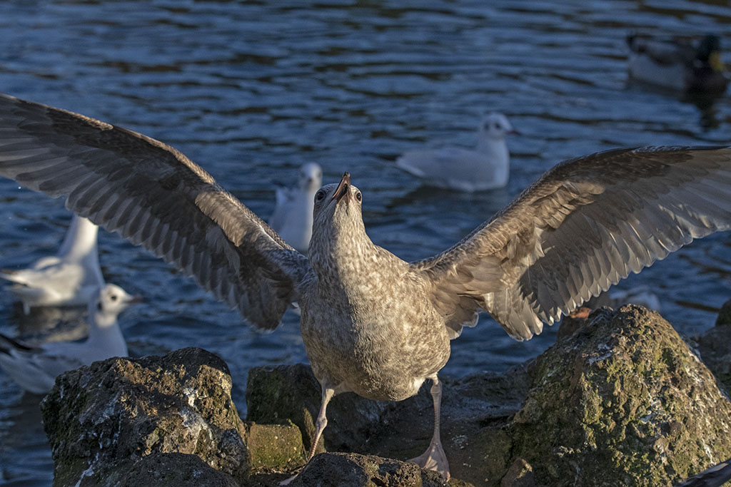 DSC_8165.jpg