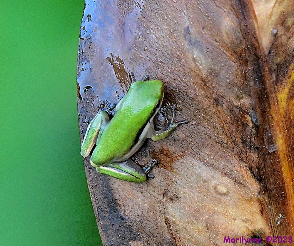 DSC_8166_001.JPG