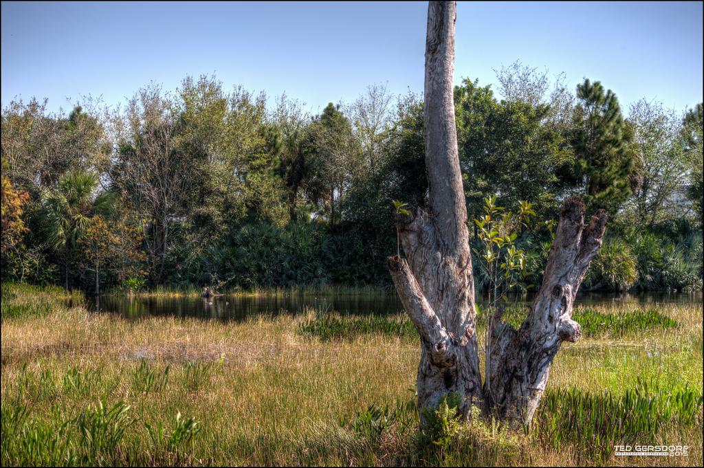 DSC_8167.jpg