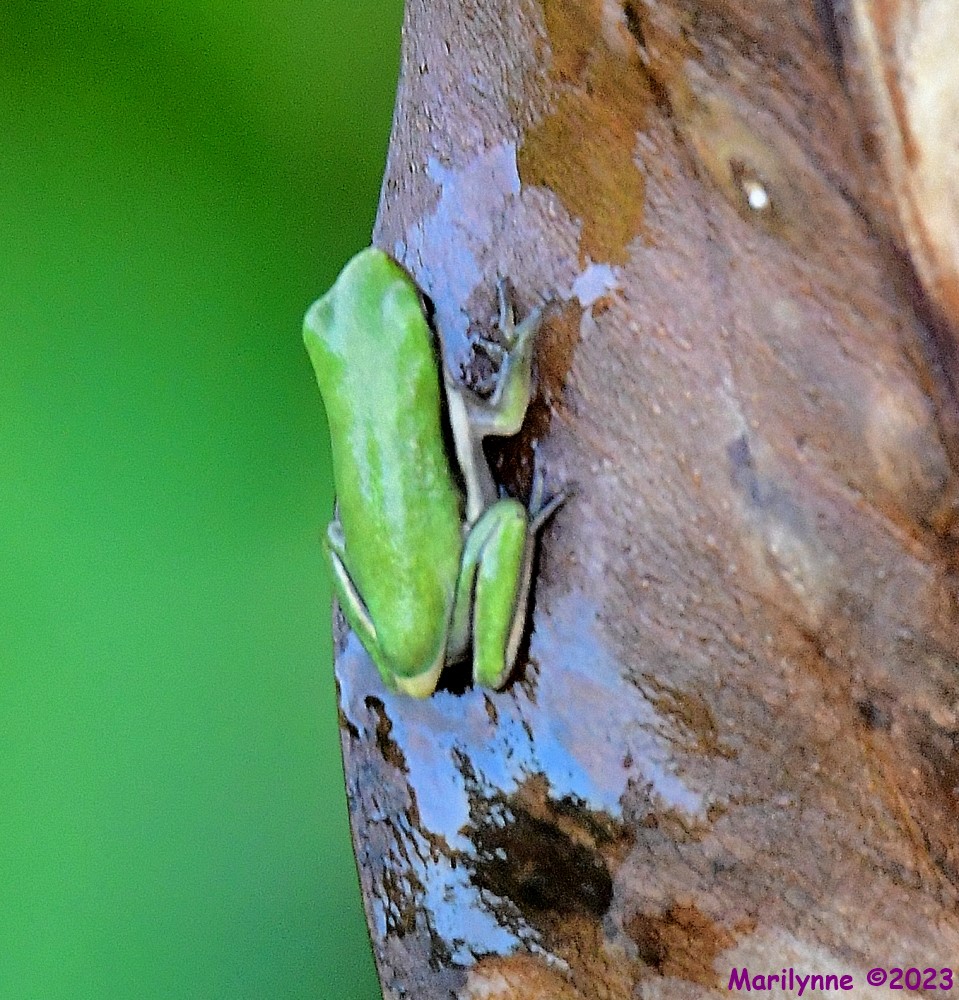 DSC_8170_001.JPG