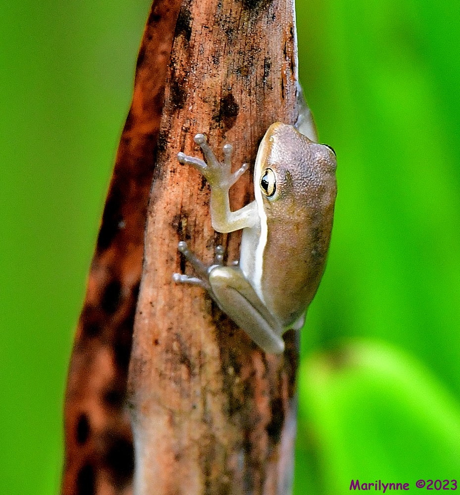 DSC_8173_001.JPG