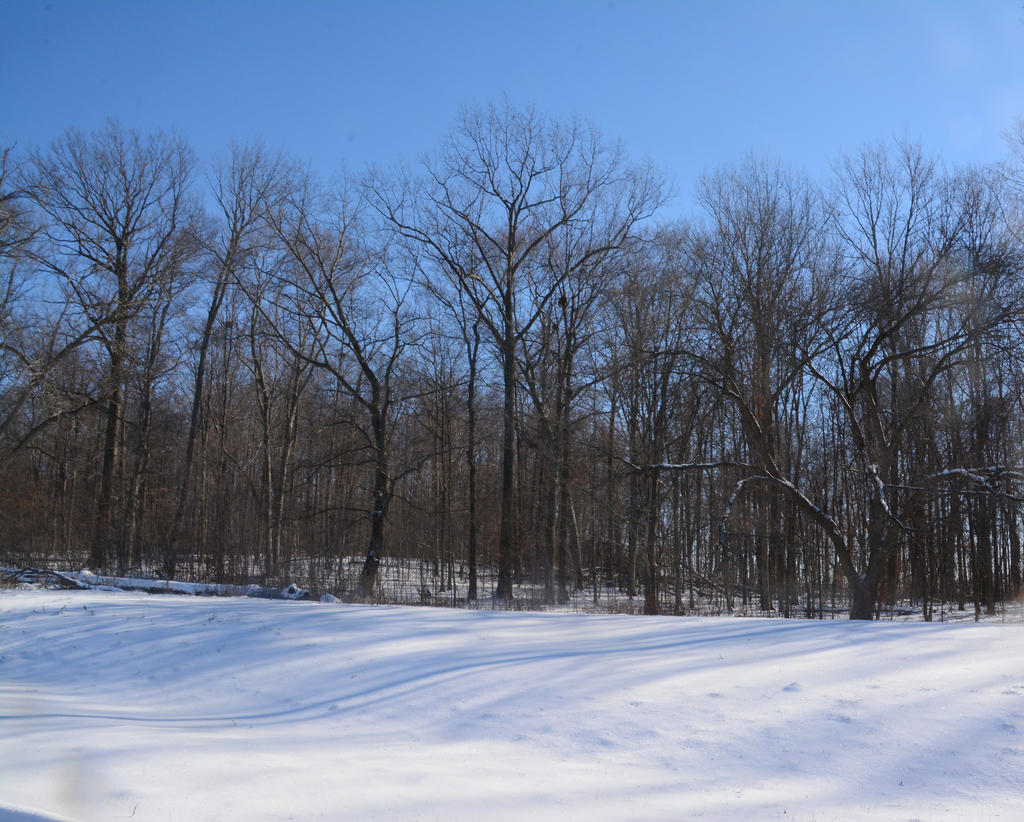 DSC_8174.jpg
