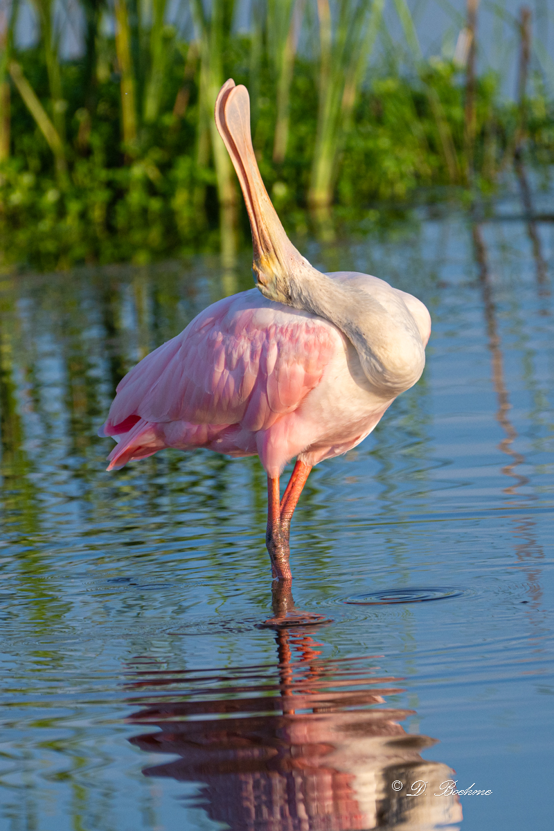DSC_8175.jpg