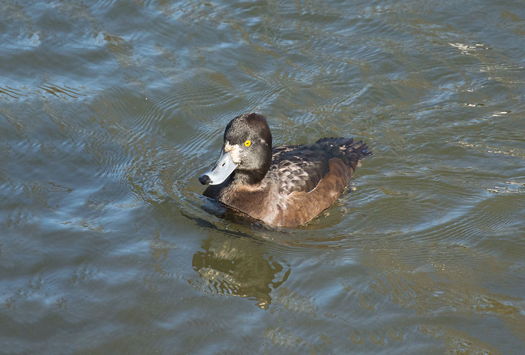 DSC_8176.jpg