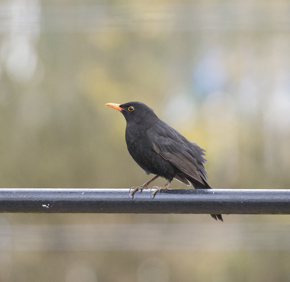 DSC_8179.jpg