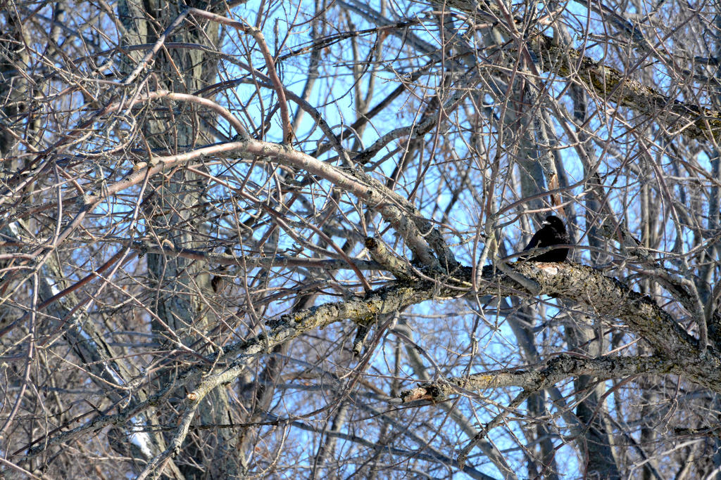 DSC_8187.jpg