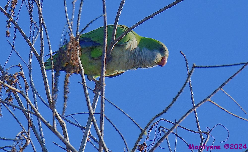 DSC_8191_001.JPG