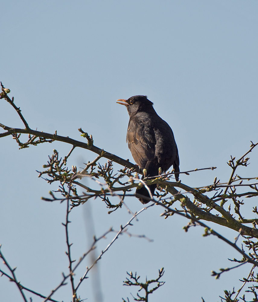 DSC_8193.jpg