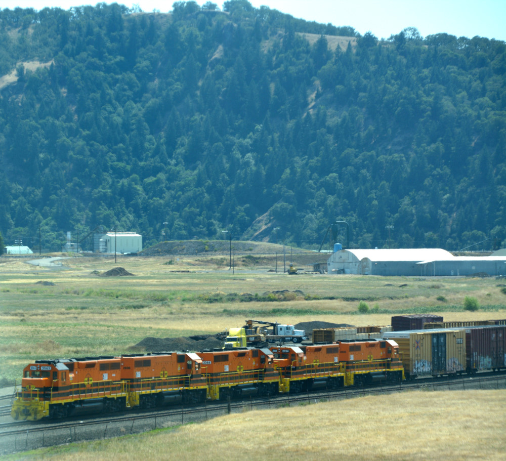 DSC_8194.JPG