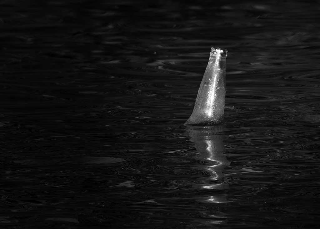 DSC_8194.jpg