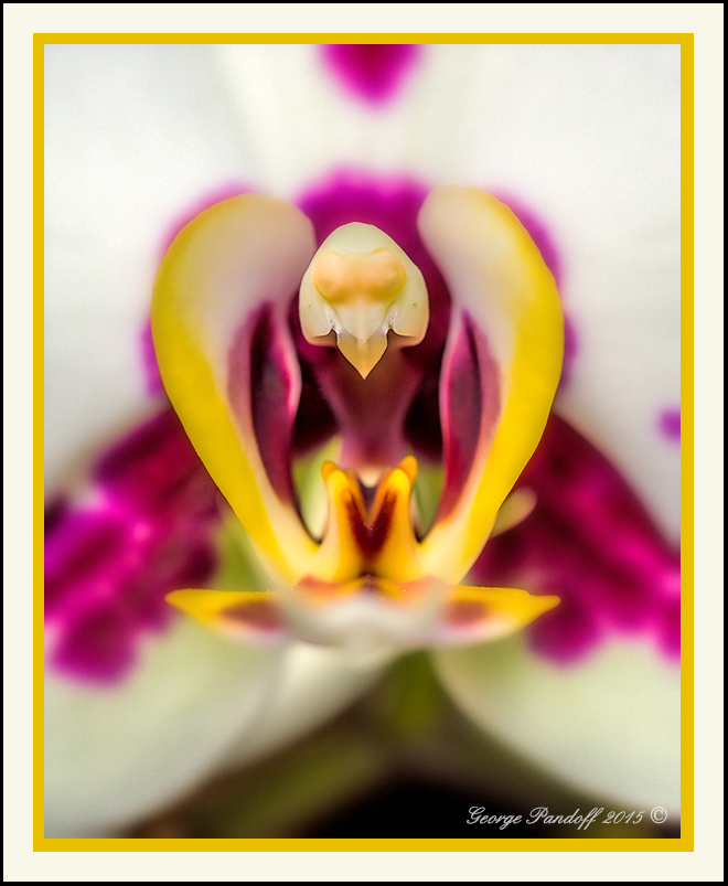 DSC_8195_Web.jpg