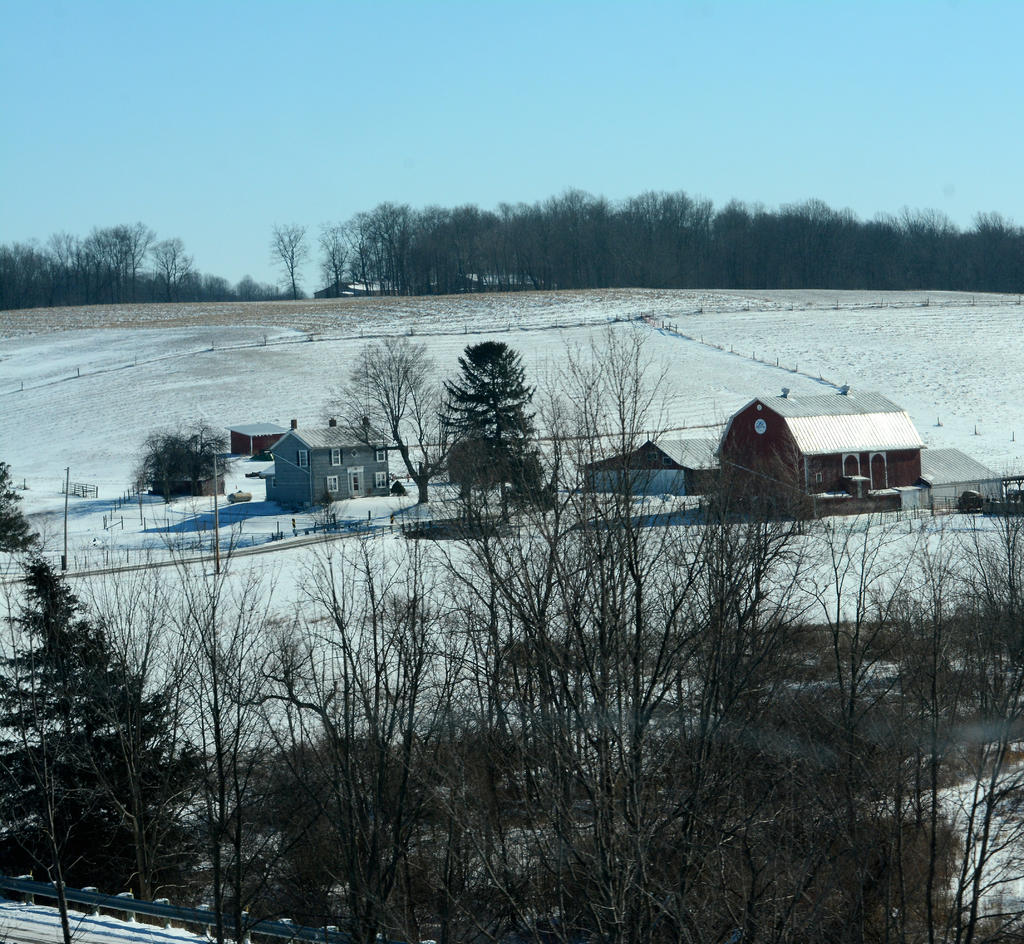 DSC_8206.jpg