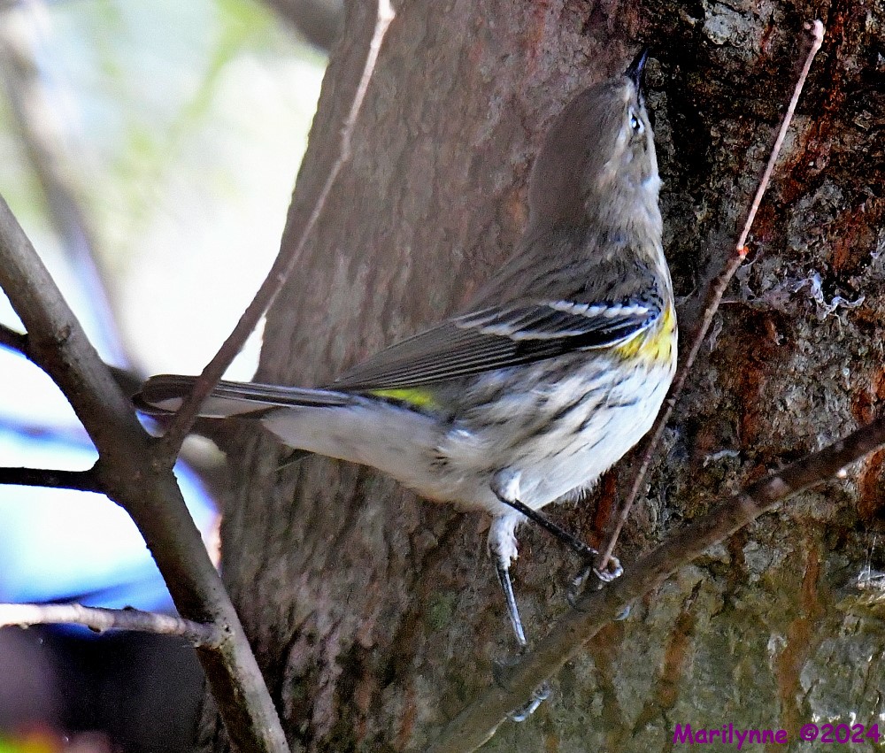 DSC_8211_001.JPG