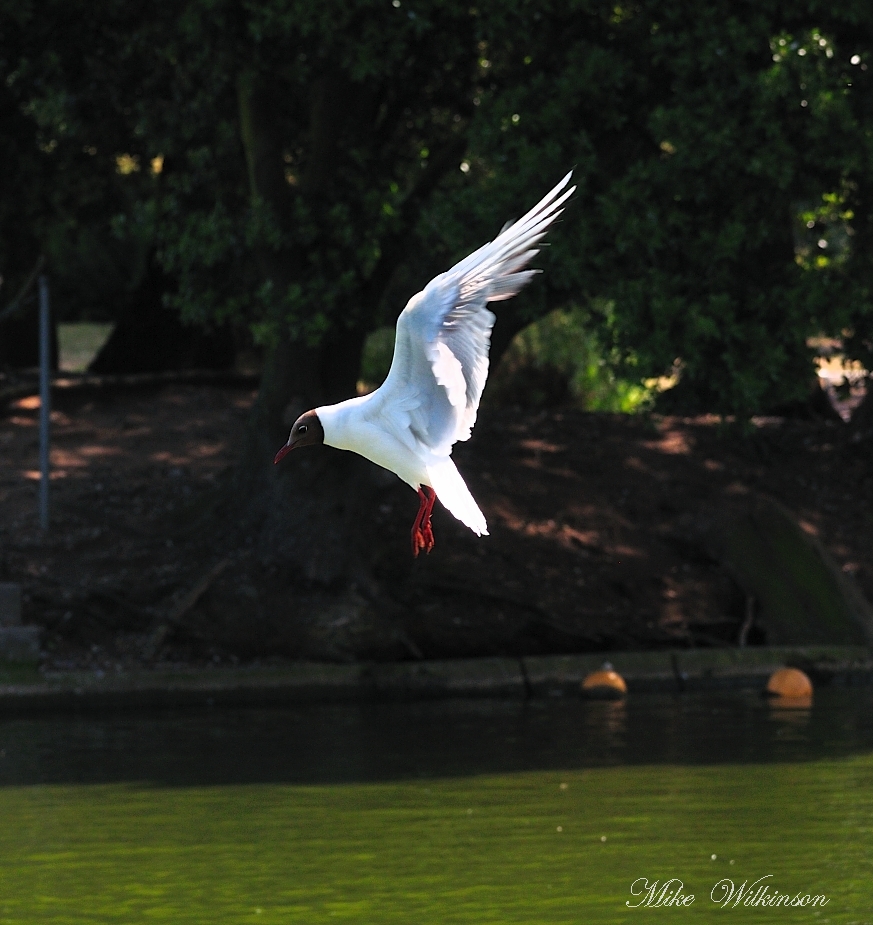 DSC_8215.JPG