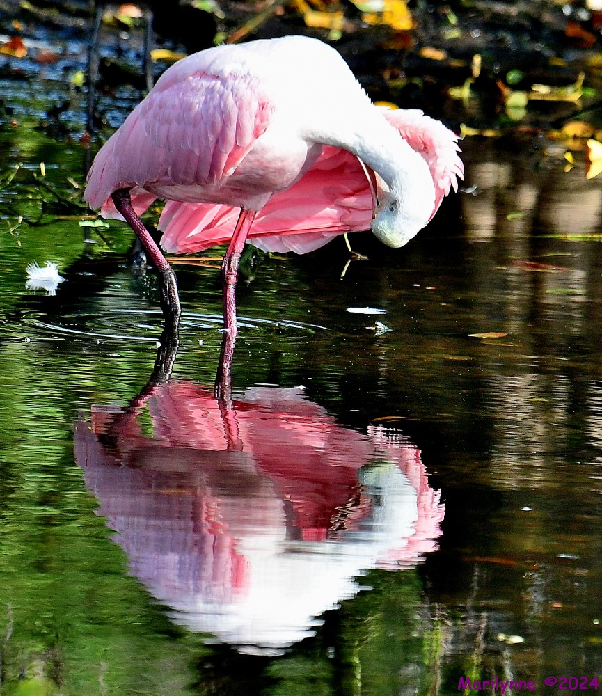 DSC_8220_001.JPG