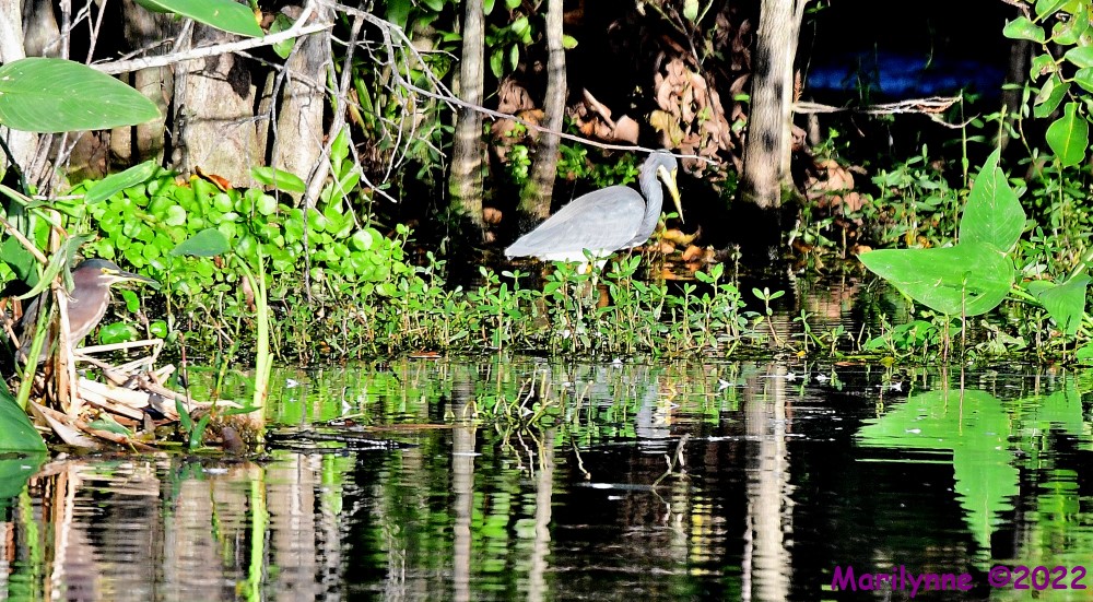 DSC_8224_001.JPG