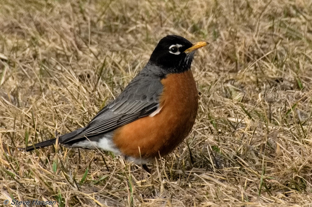 DSC_8227.jpg