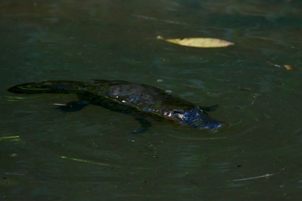 DSC_8229.jpg
