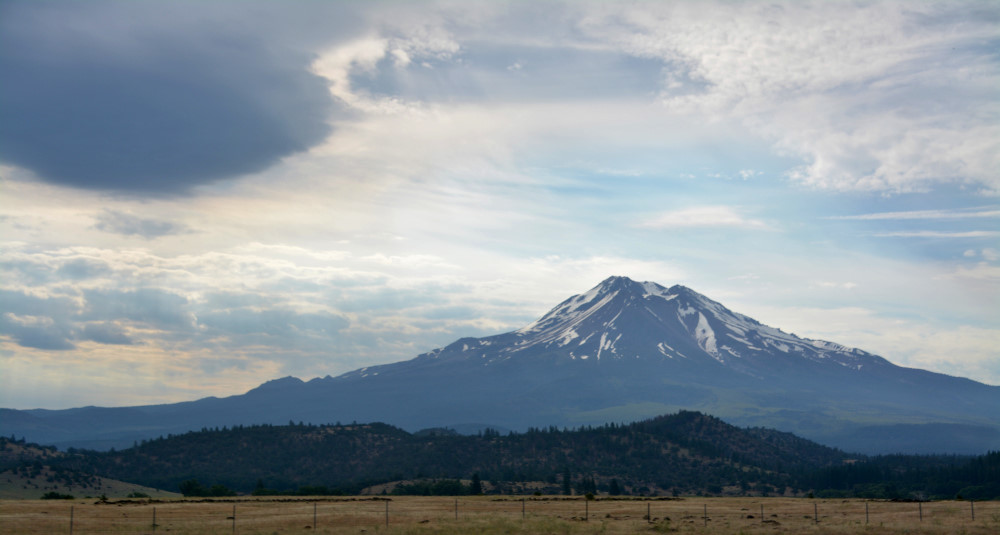 DSC_8232.JPG