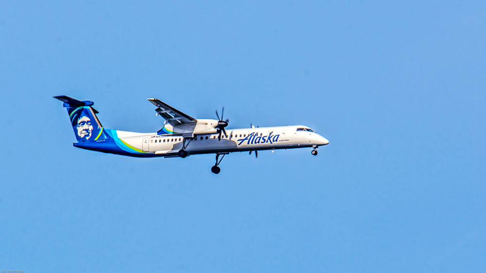 DSC_8236-Edit.jpg