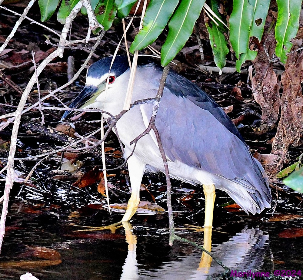 DSC_8236_001.JPG