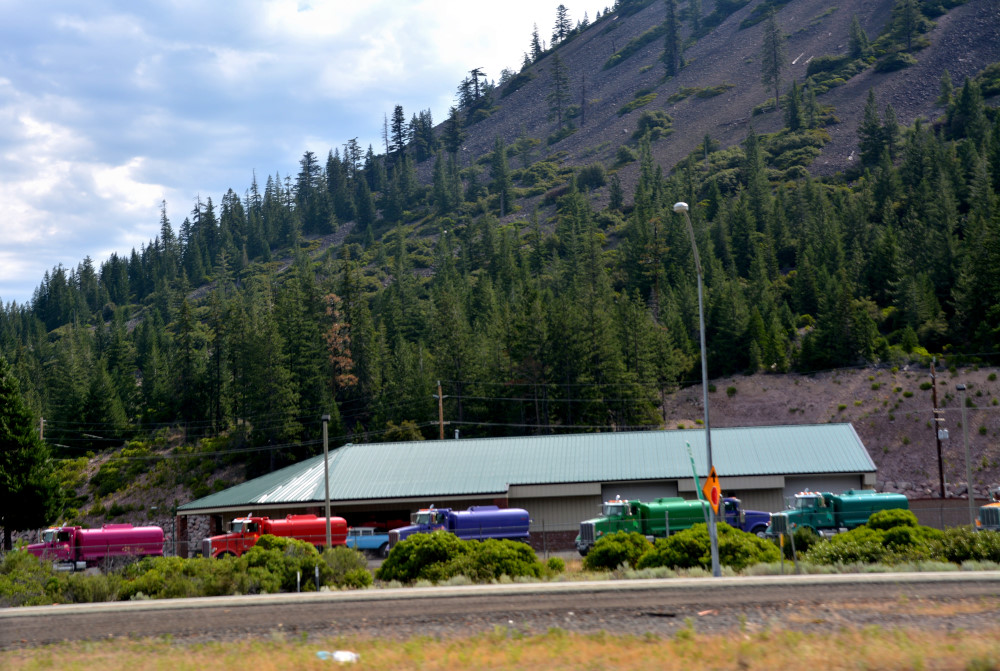 DSC_8243_01.JPG