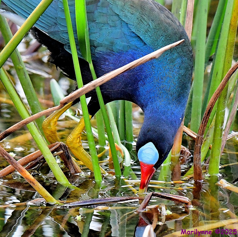 DSC_8244_001.JPG