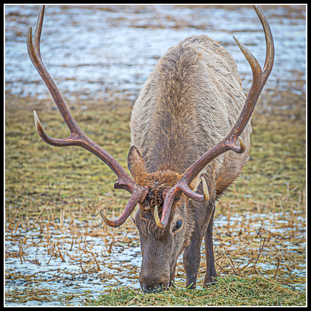 DSC_8249-Edit.jpg
