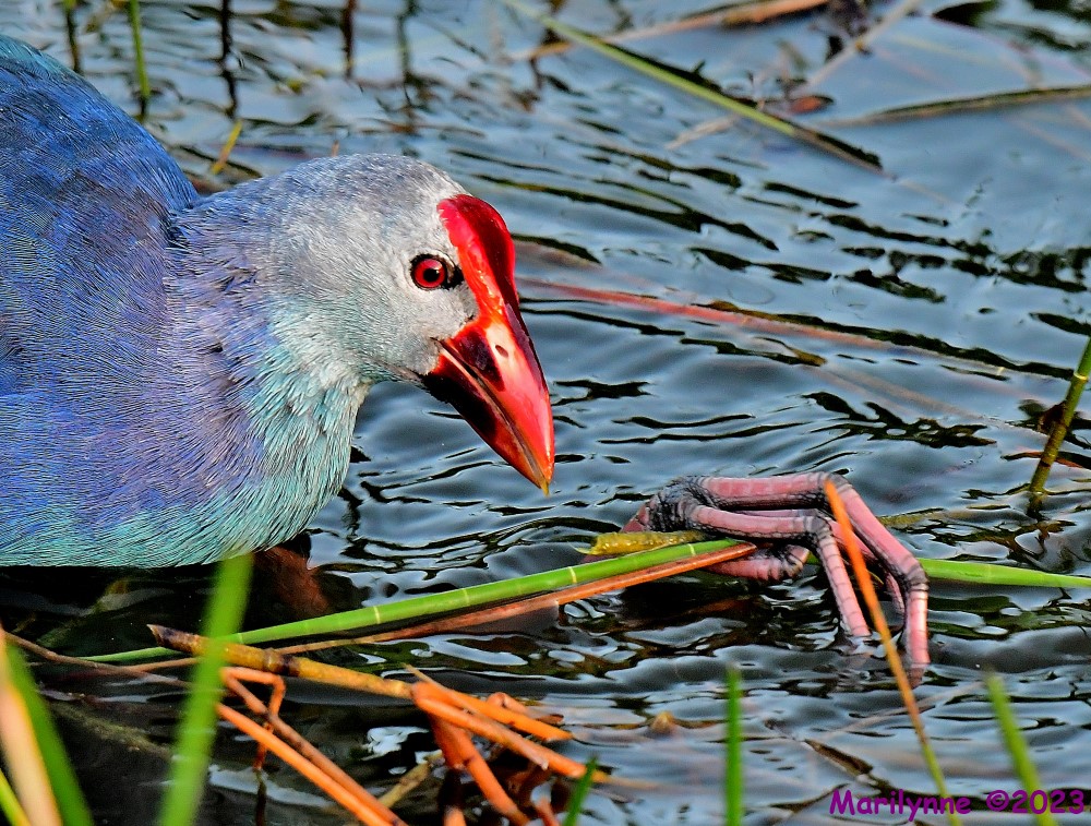 DSC_8254_001.JPG