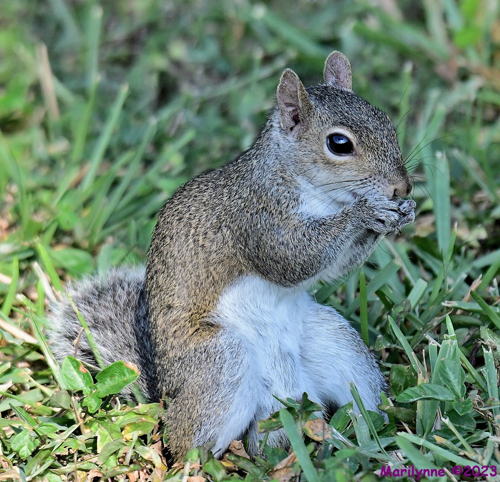 DSC_8256_001.JPG