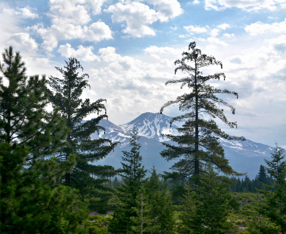 DSC_8257.JPG