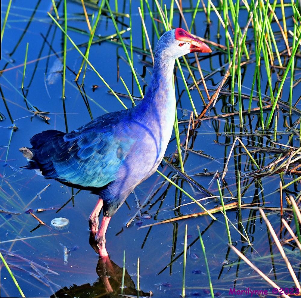 DSC_8259_stitch_001.JPG