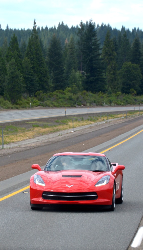 DSC_8263.JPG
