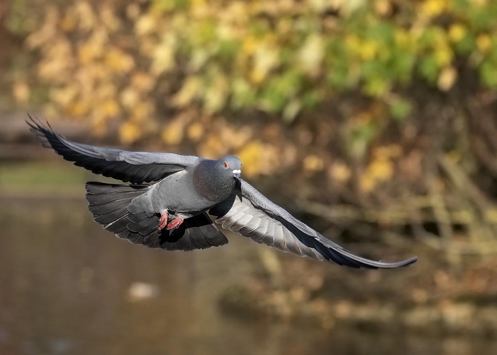 DSC_8264l.jpg