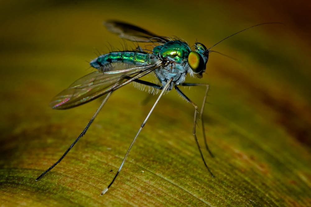 DSC_8271.jpg